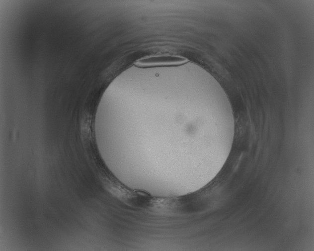 X0000073450141200608181248