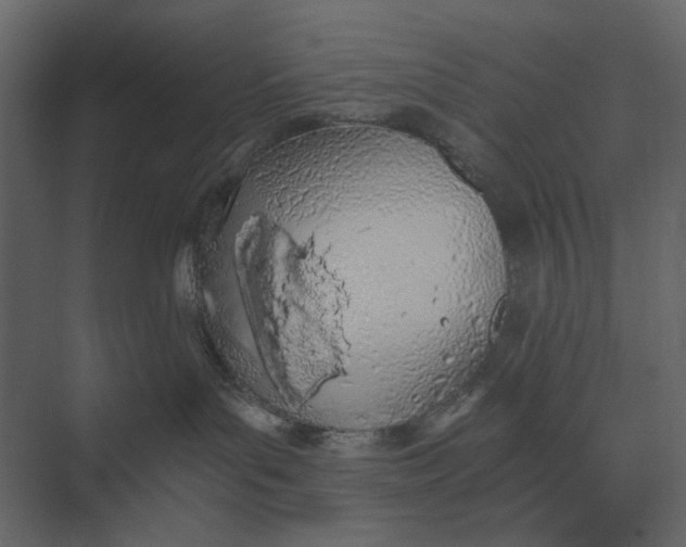 X0000073450143200608181248