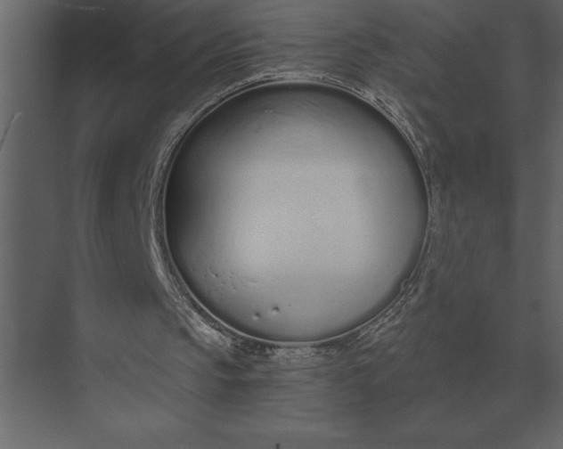 X0000073450145200608181247