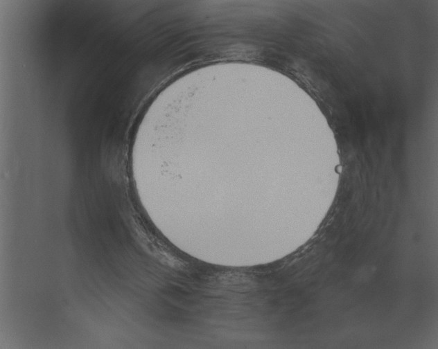 X0000073450146200608181247