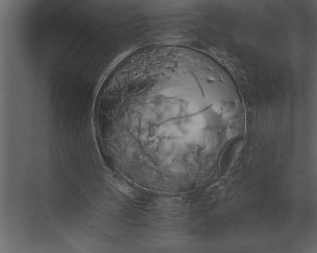 X0000073450147200608181247