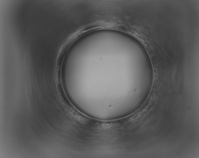 X0000073450149200608181247