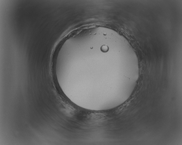 X0000073450150200608181247