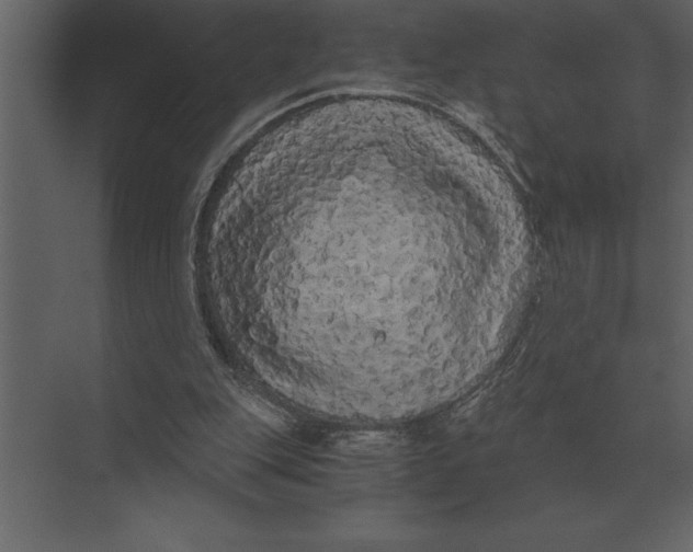 X0000073450151200608181247