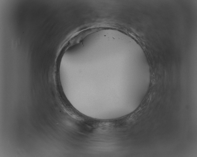 X0000073450152200608181247