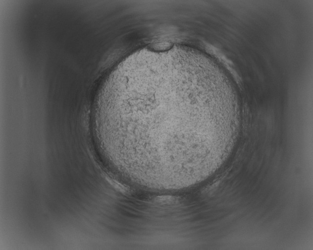 X0000073450153200608181247