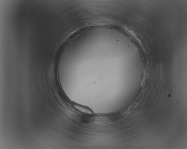 X0000073450154200608181247