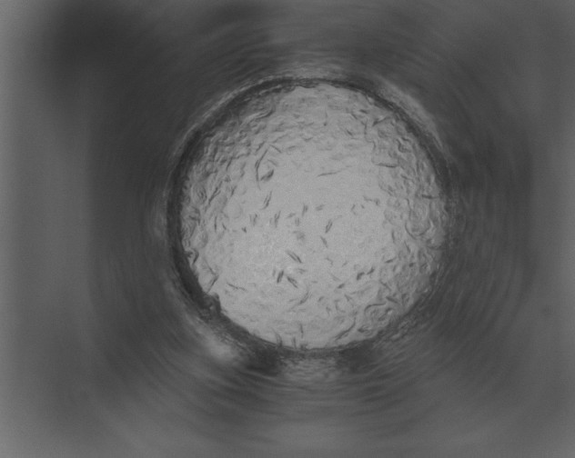 X0000073450155200608181248