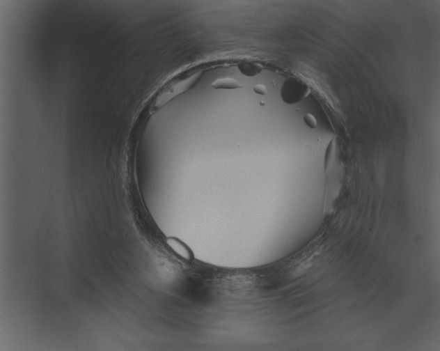 X0000073450156200608181248