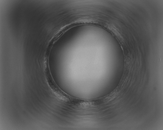 X0000073450160200608181248