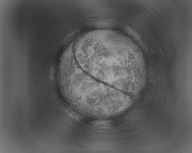 X0000073450161200608181248