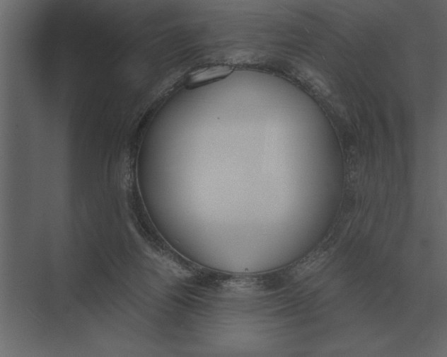 X0000073450164200608181248