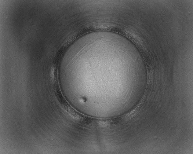 X0000073450166200608181248