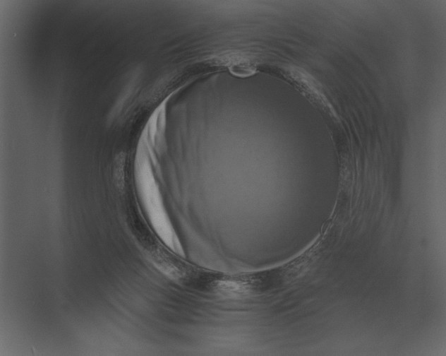 X0000073450167200608181248