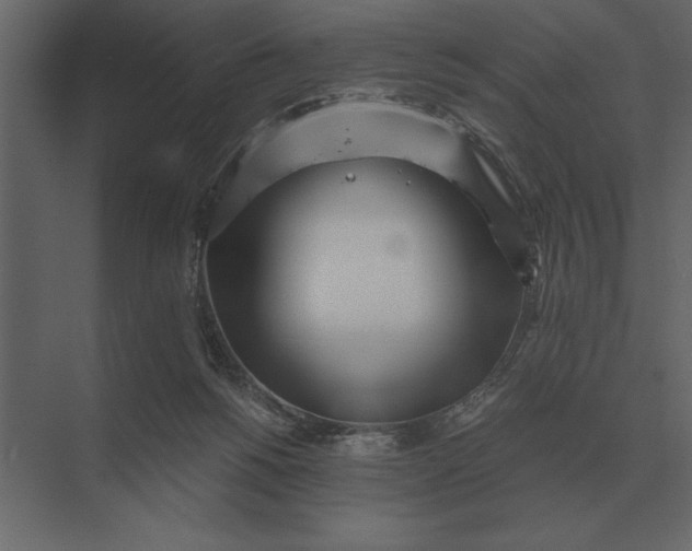 X0000073450168200608181248