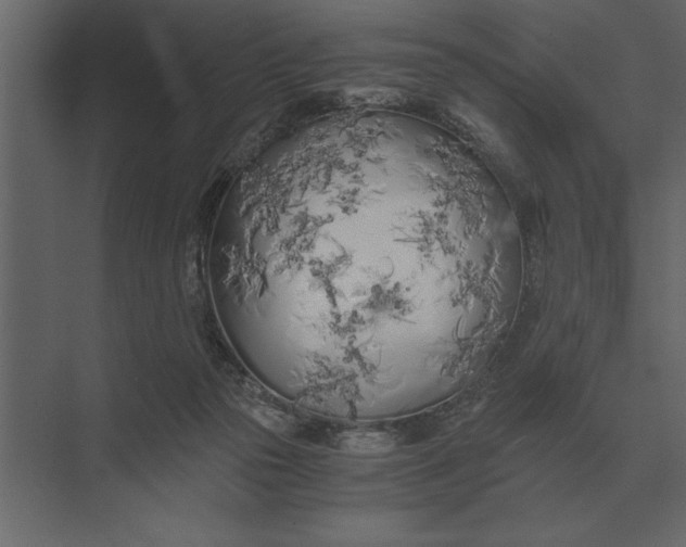 X0000073450169200608181248