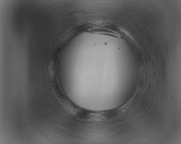 X0000073450170200608181248