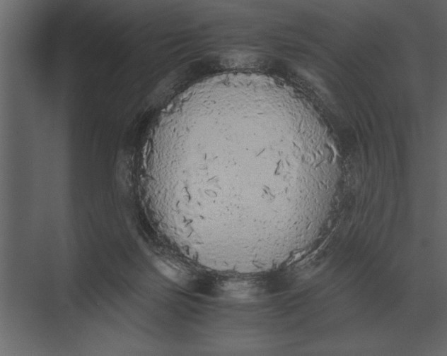 X0000073450171200608181248