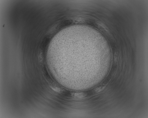 X0000073450173200608181248