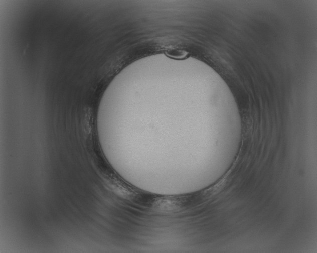 X0000073450174200608181248