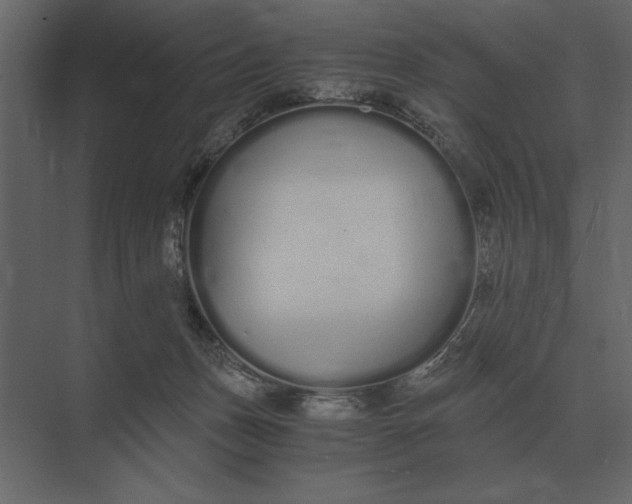 X0000073450175200608181248