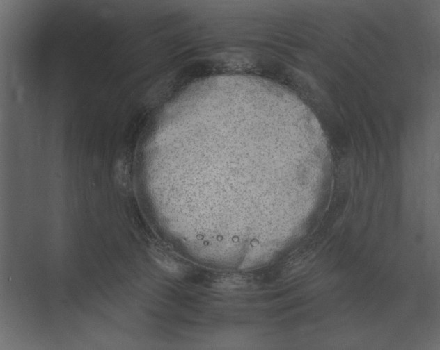 X0000073450177200608181248