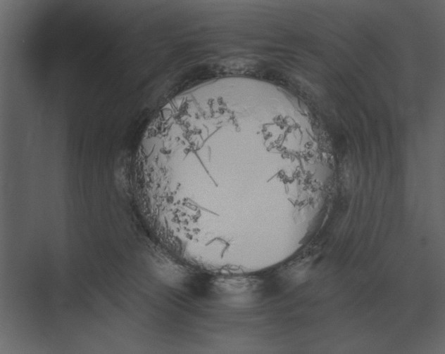 X0000073450181200608181248