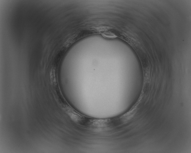 X0000073450182200608181248