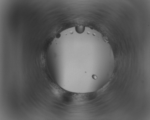 X0000073450186200608181248