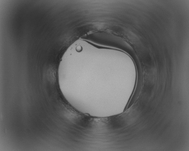 X0000073450188200608181248