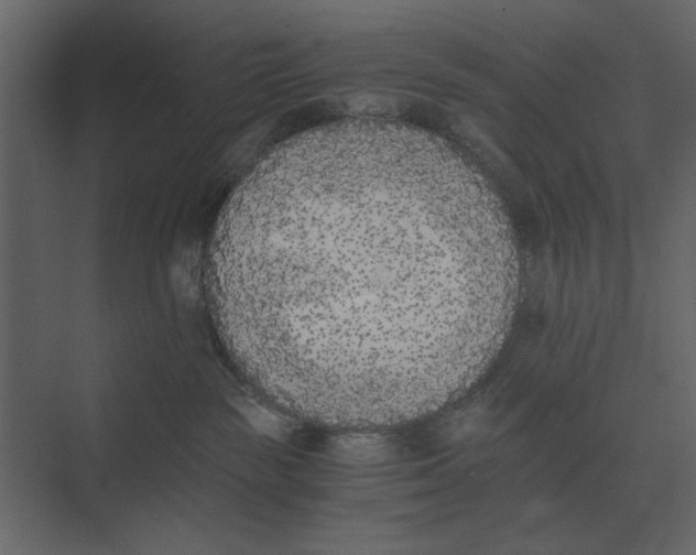 X0000073450189200608181248