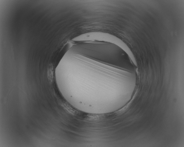 X0000073450190200608181248