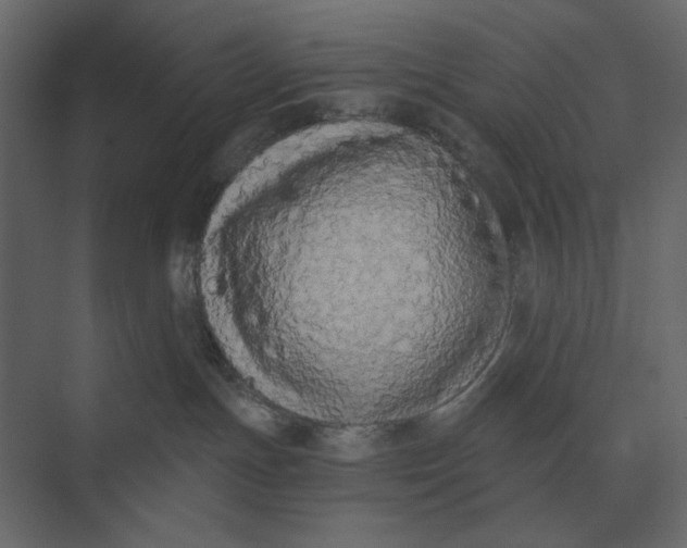 X0000073450191200608181248