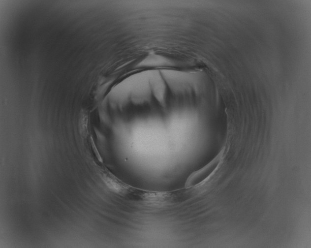 X0000073450192200608181248