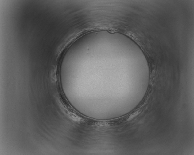 X0000073450194200608181247