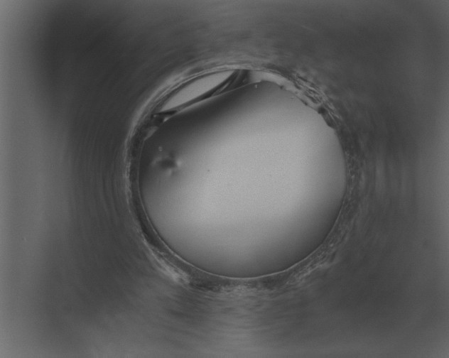 X0000073450197200608181247