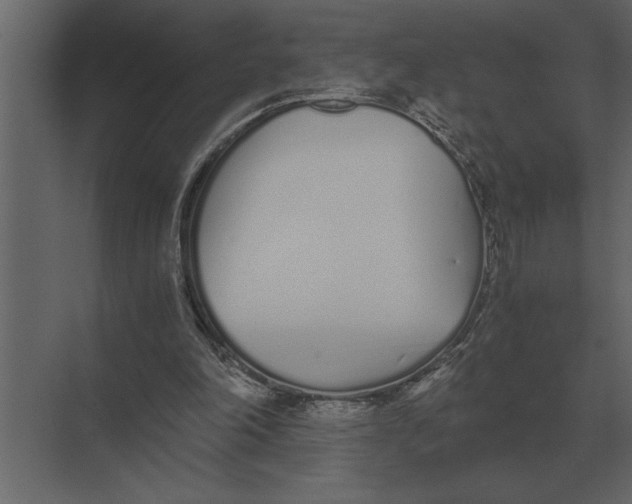 X0000073450198200608181247