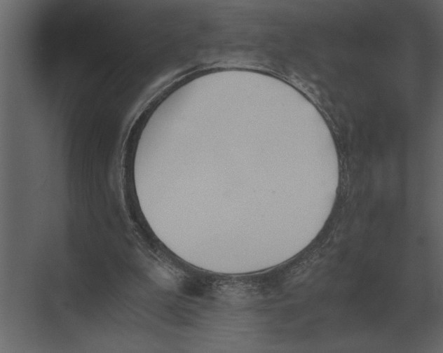 X0000073450199200608181247