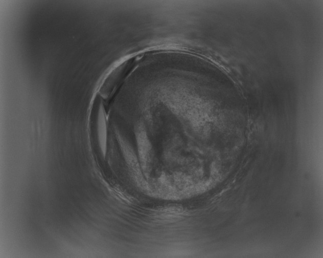 X0000073450200200608181247