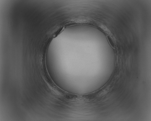 X0000073450201200608181247