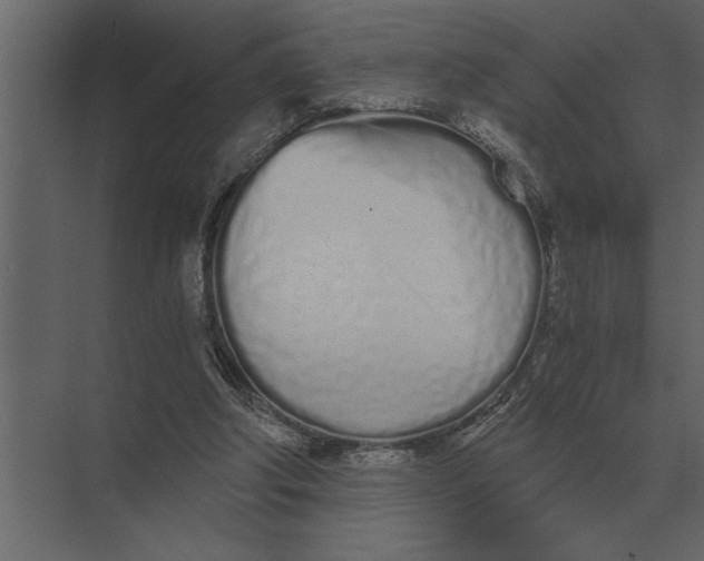 X0000073450202200608181247