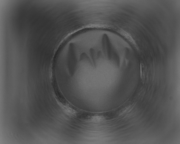 X0000073450204200608181247