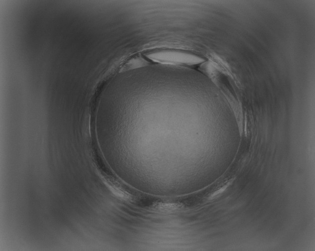 X0000073450205200608181247