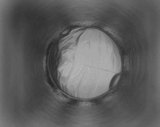 X0000073450206200608181247