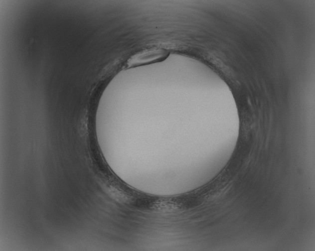 X0000073450207200608181247