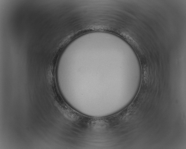 X0000073450208200608181247