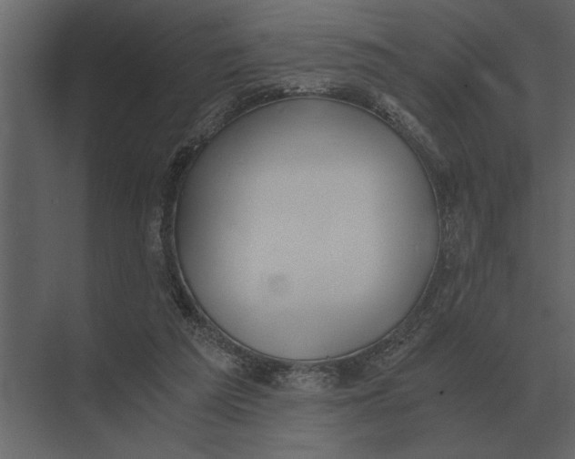 X0000073450209200608181247