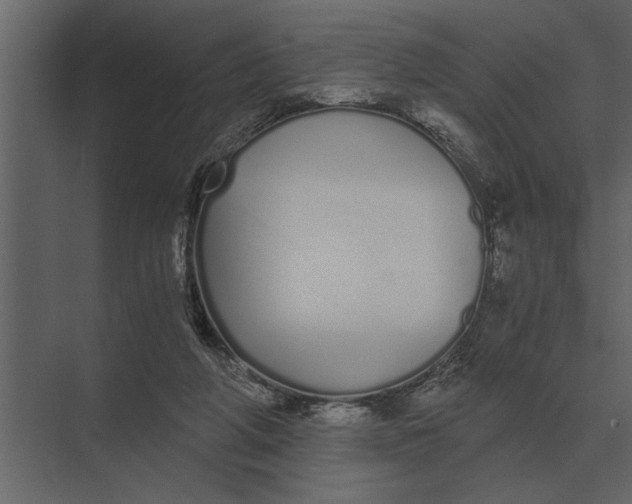 X0000073450210200608181247