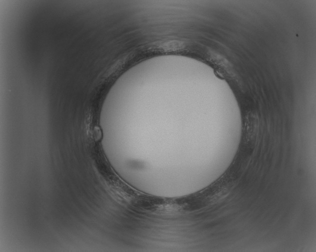 X0000073450212200608181247