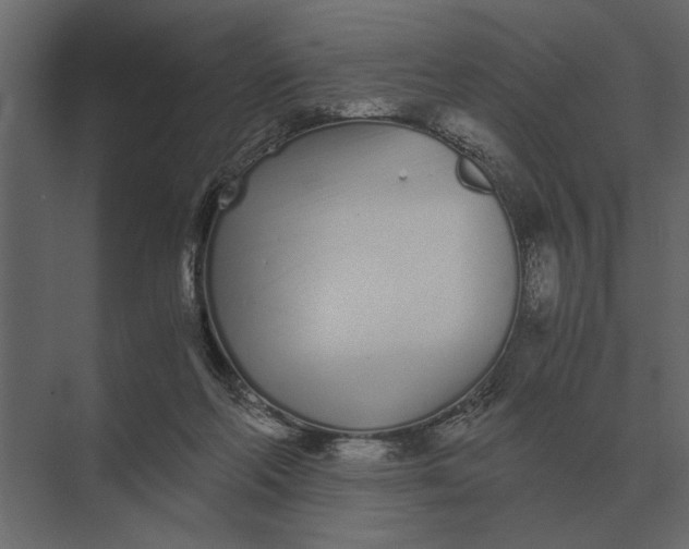 X0000073450214200608181247